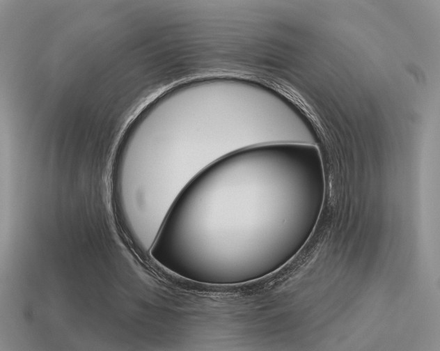 X0000115590436200911100934
