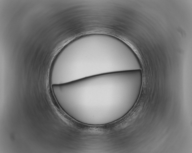 X0000115590437200911100934