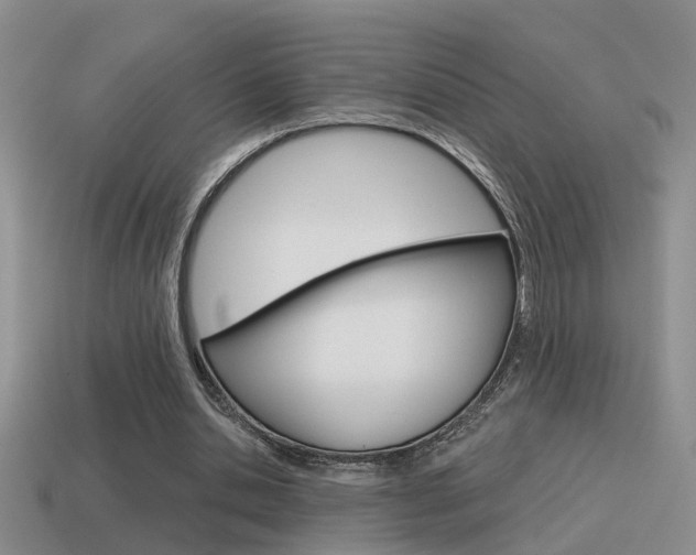 X0000115590438200911100934