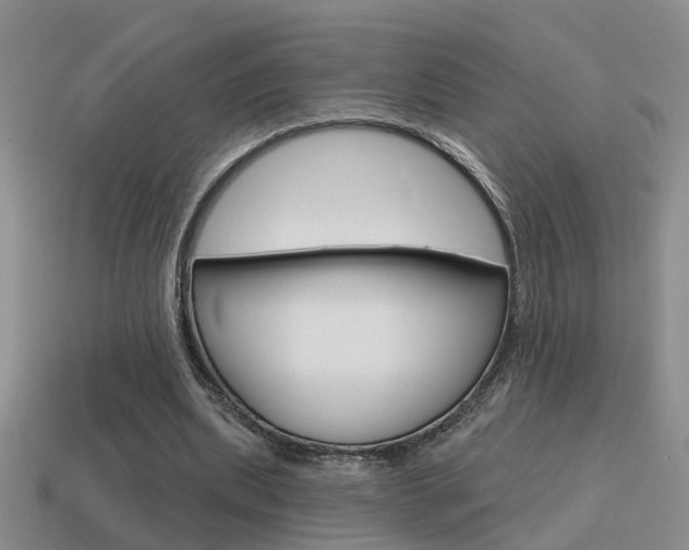 X0000115590439200911100934