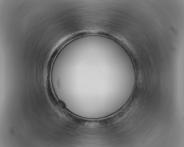 X0000115590440200911100934