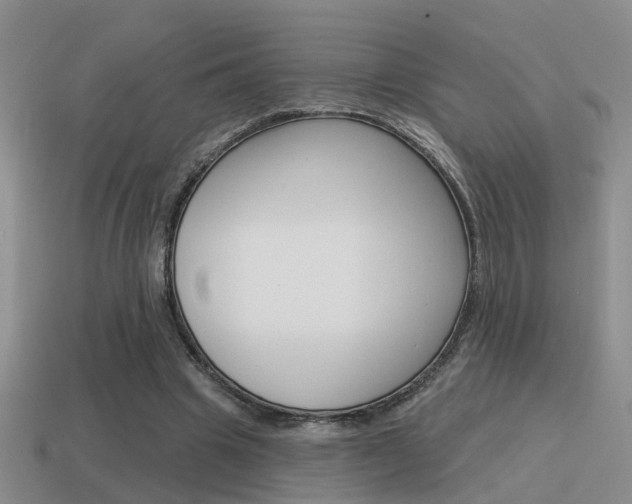 X0000115590441200911100934