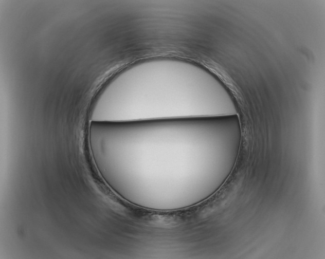 X0000115590442200911100934