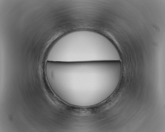 X0000115590443200911100934