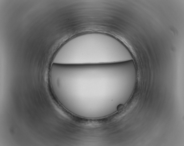 X0000115590445200911100934