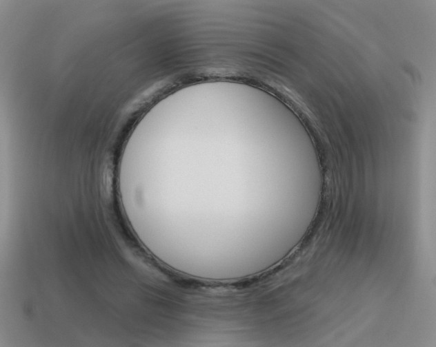 X0000115590446200911100934