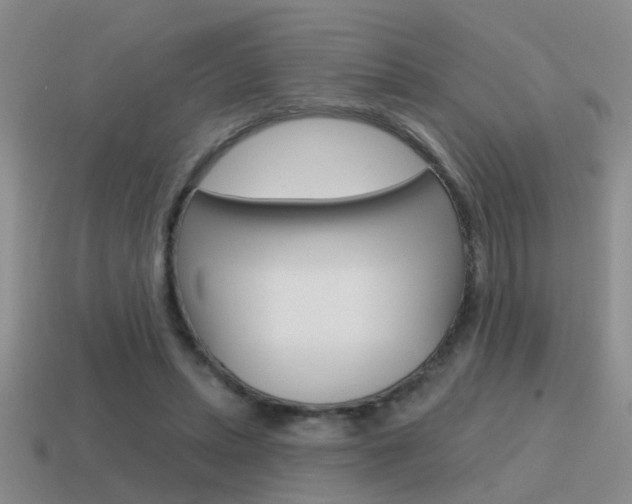 X0000115590447200911100934