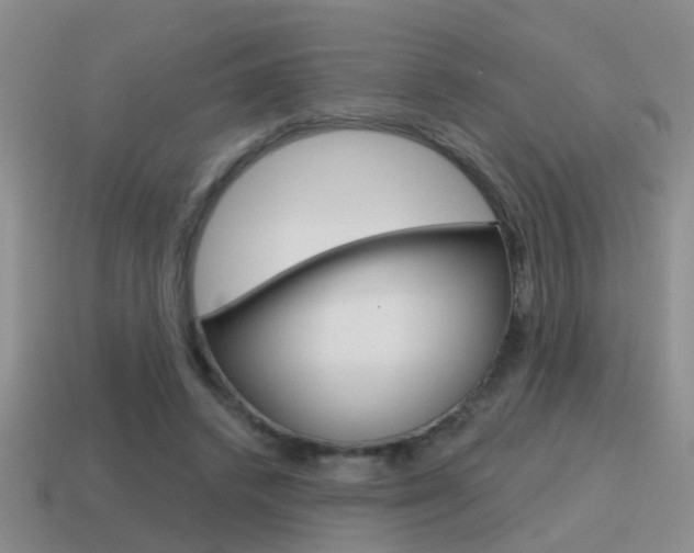 X0000115590448200911100934