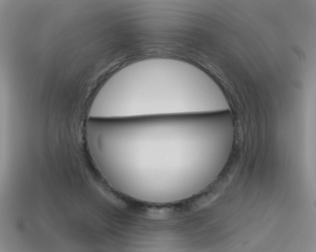 X0000115590450200911100934