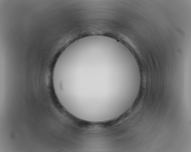 X0000115590451200911100934