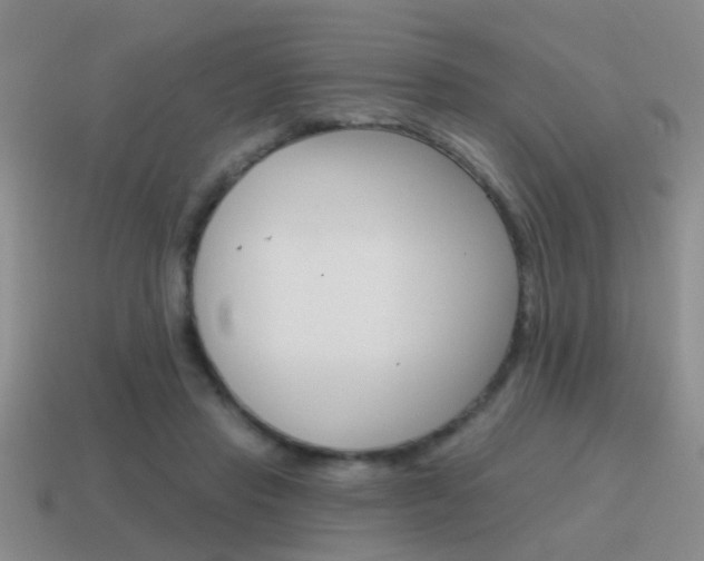 X0000115590453200911100934