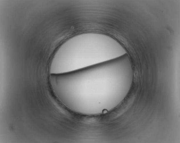 X0000115590454200911100934