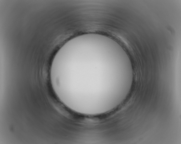 X0000115590455200911100934