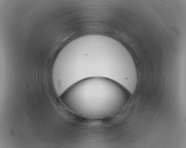 X0000115590456200911100934