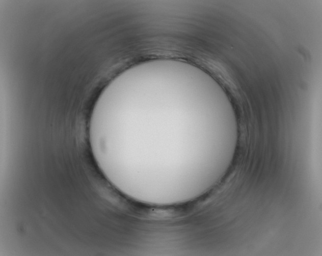 X0000115590457200911100934