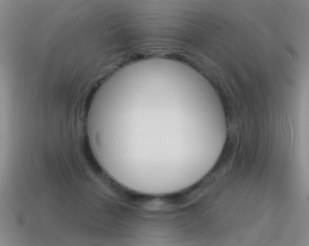 X0000115590460200911100934