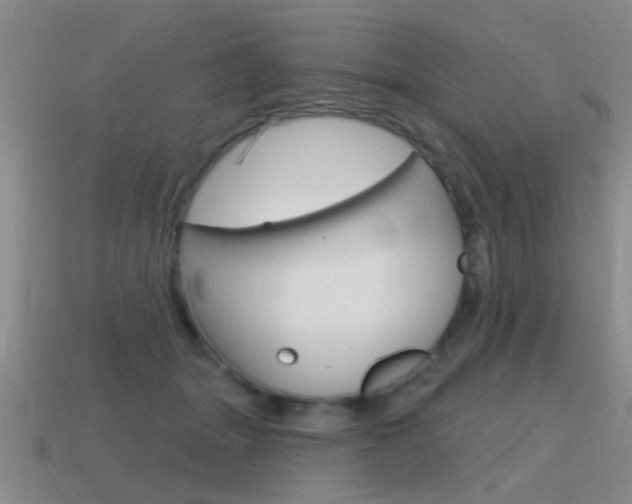 X0000115590463200911100934