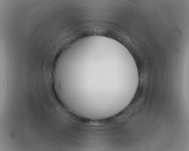 X0000115590464200911100934