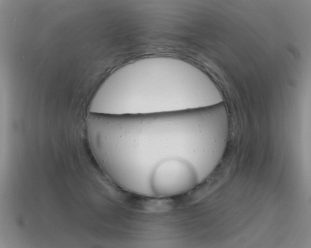 X0000115590465200911100934