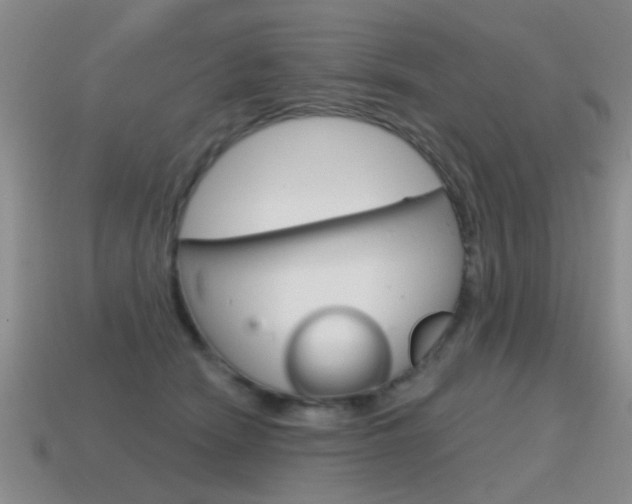 X0000115590466200911100934