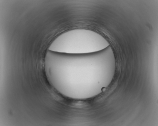 X0000115590467200911100934