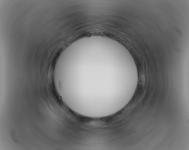 X0000115590468200911100934
