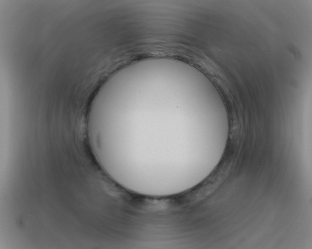 X0000115590469200911100934