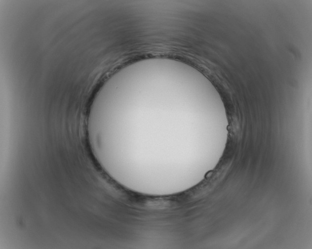 X0000115590470200911100934