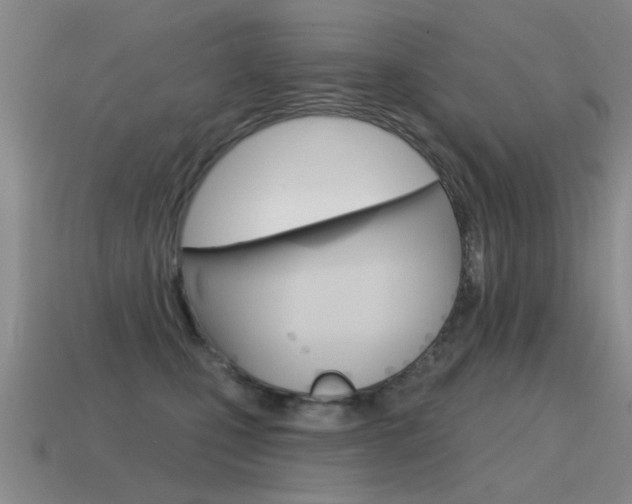 X0000115590471200911100934