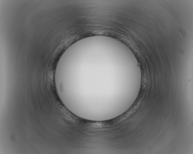 X0000115590473200911100934