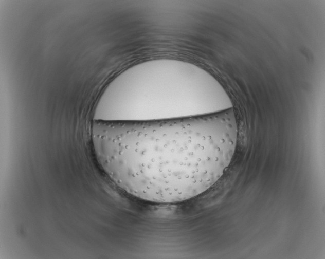 X0000115590474200911100935