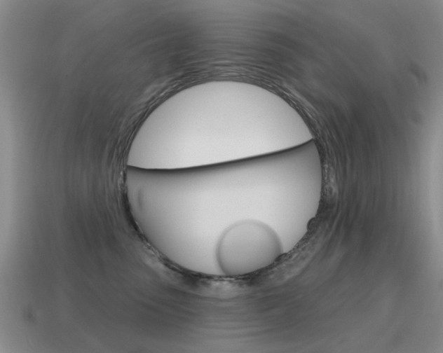 X0000115590475200911100935