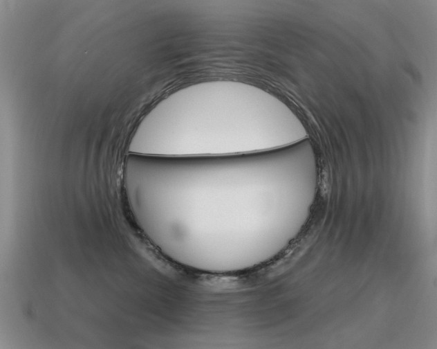 X0000115590476200911100935