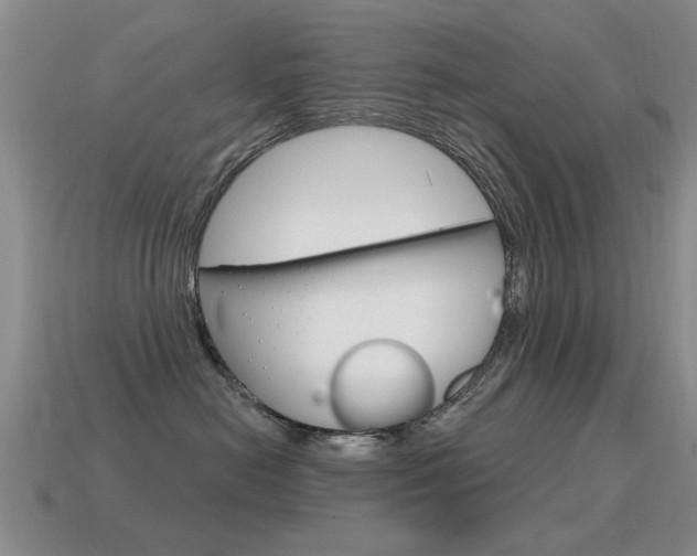 X0000115590478200911100935