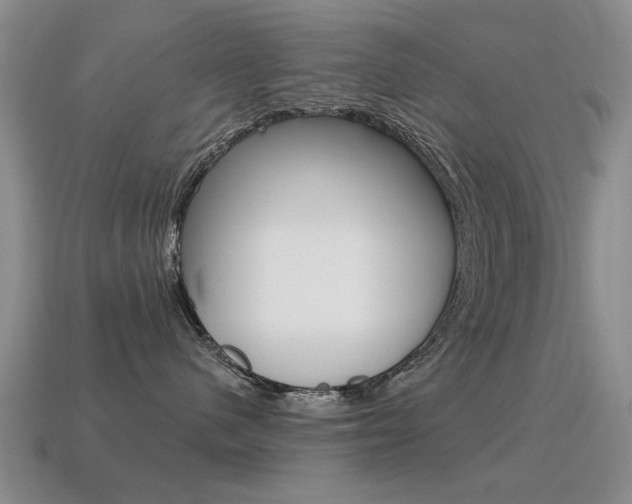 X0000115590480200911100935