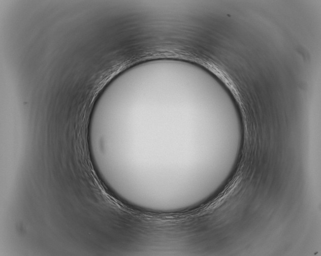 X0000115590481200911100934