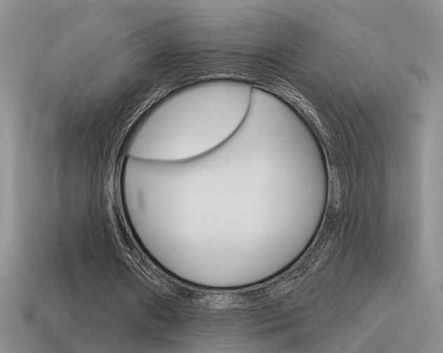 X0000115590482200911100934