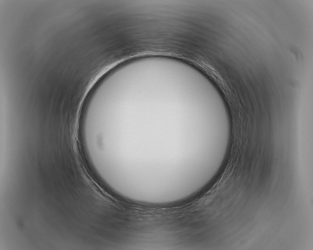 X0000115590484200911100934