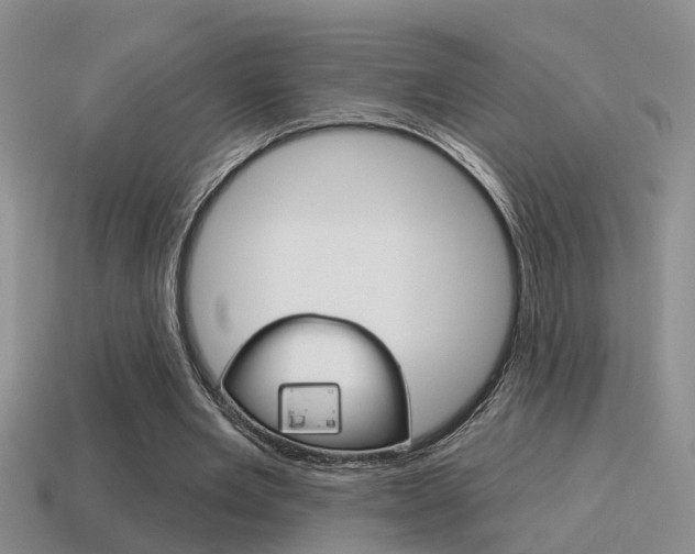 X0000115590485200911100934