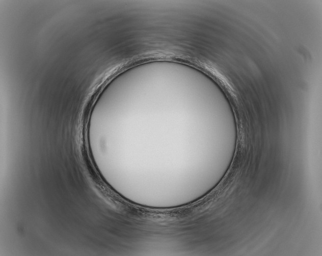 X0000115590486200911100934