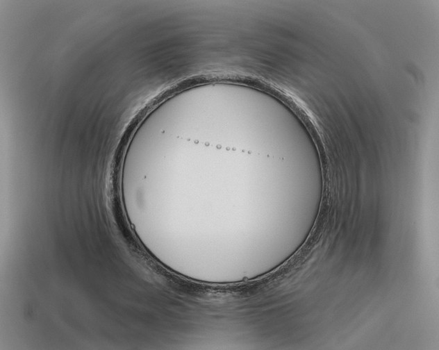 X0000115590487200911100934