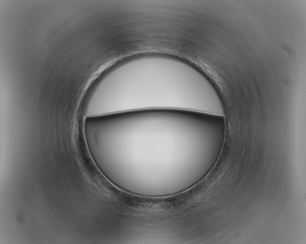 X0000115590488200911100934