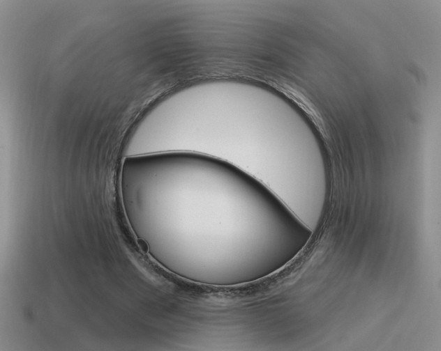 X0000115590489200911100934