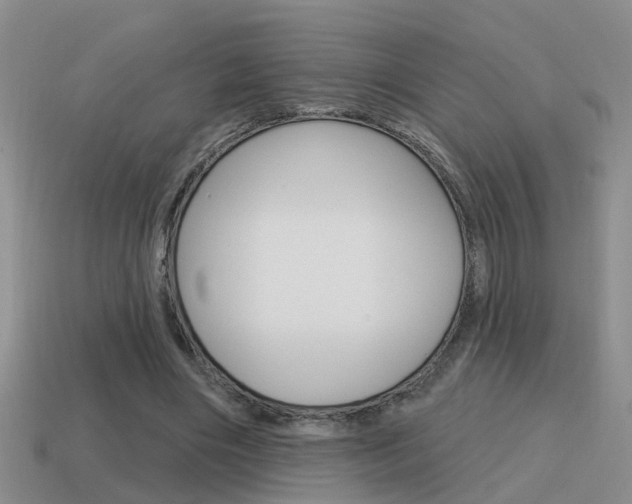 X0000115590490200911100934