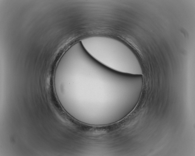 X0000115590491200911100934