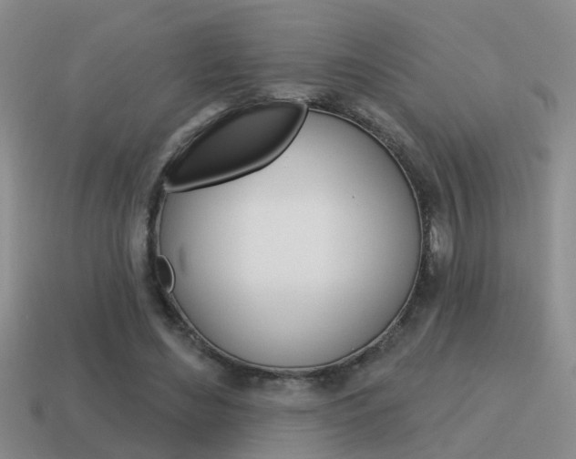 X0000115590492200911100934