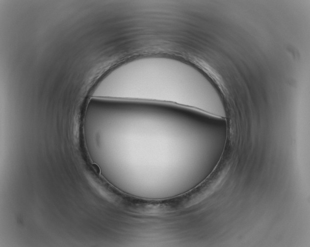 X0000115590493200911100934