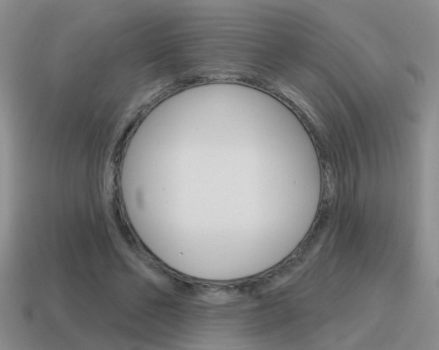 X0000115590494200911100934