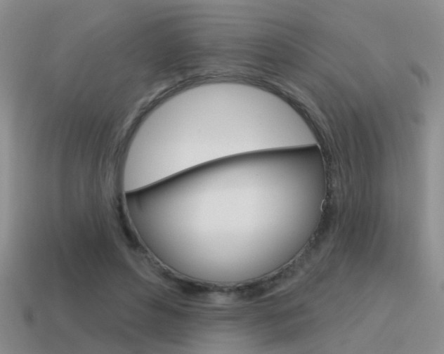 X0000115590496200911100934