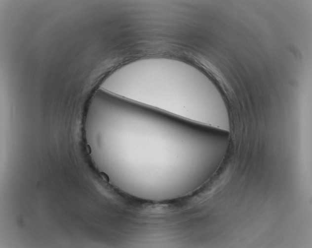 X0000115590497200911100934